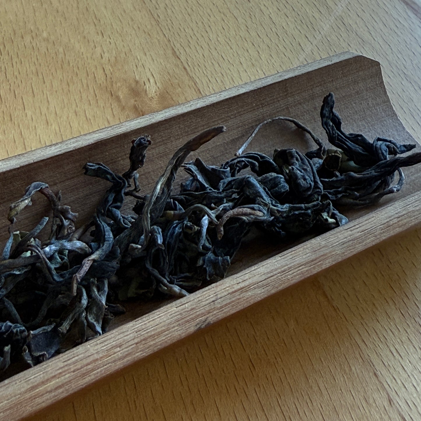 Wakoucha Izumi from Sashima - Spring 2024 "Honoka" 20g