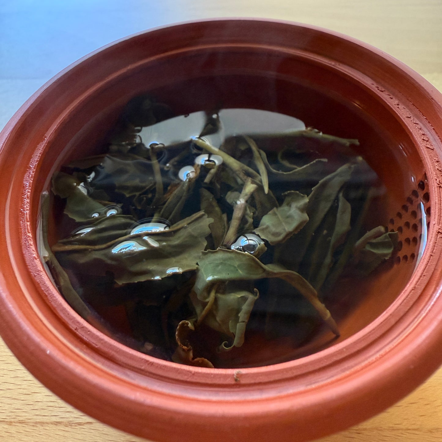 Wakoucha Izumi from Sashima - Spring 2024 "Honoka" 20g