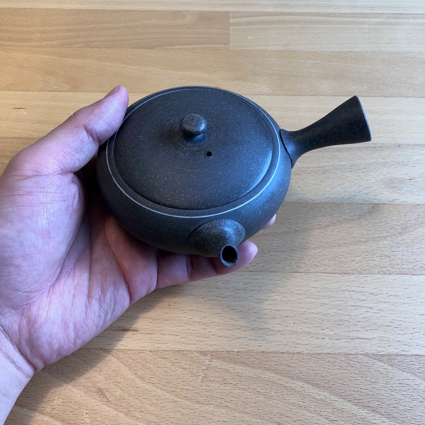 Handmade Tea Pot Kyusu - Tokoname Yaki  - Hiroshi Mizuno - MH01