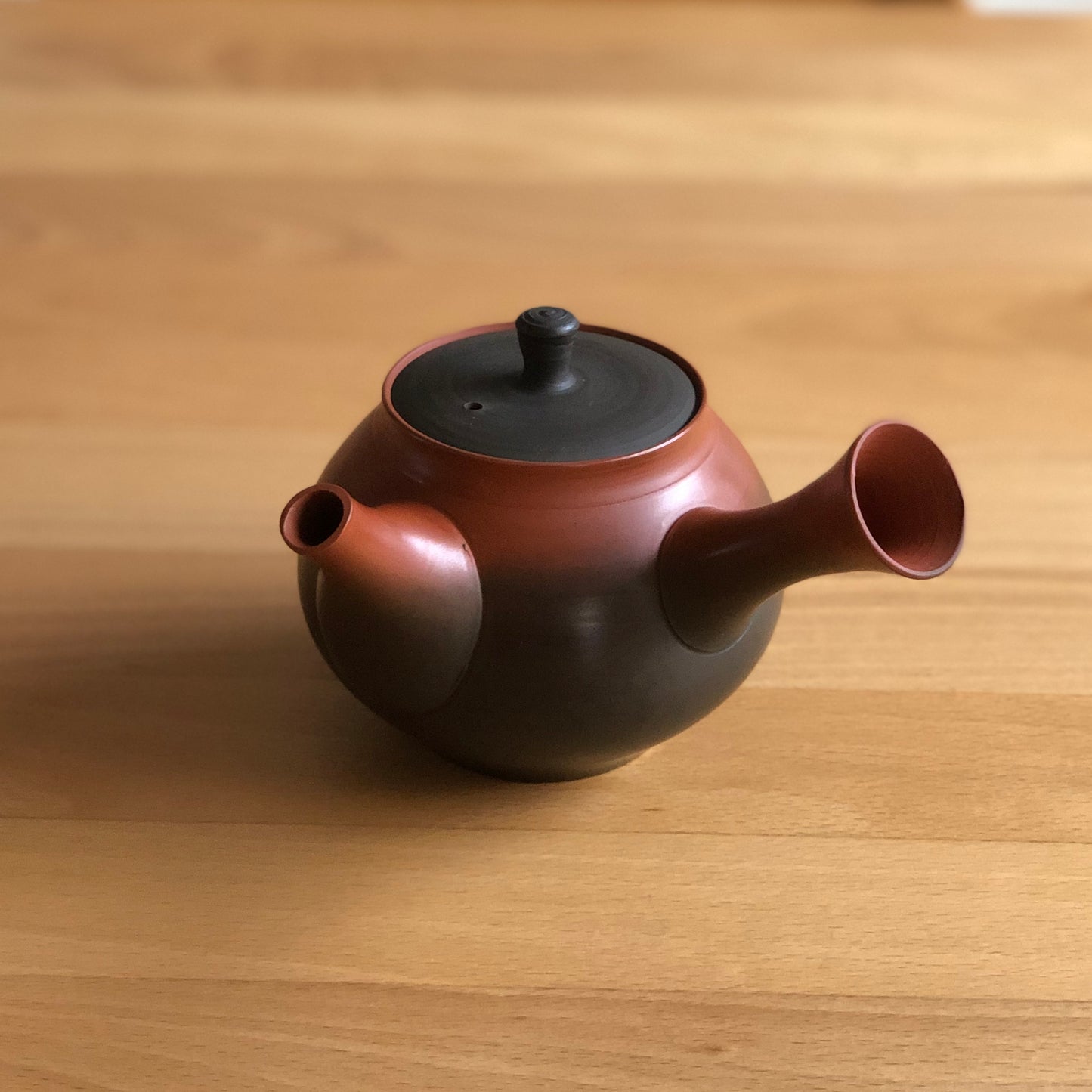 Handmade Tea Pot Kyusu - Tokoname Yaki - Koji Iwase - MF02