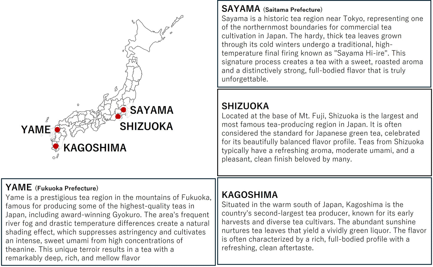 The Sencha Journey Set: A Tasting of Japan's Four Great Terroirs