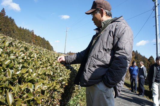 Our farmers: Mr. Taruwaki