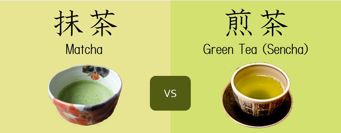 Difference between Matcha and Green Tea (Sencha) INFOGRAPHIC