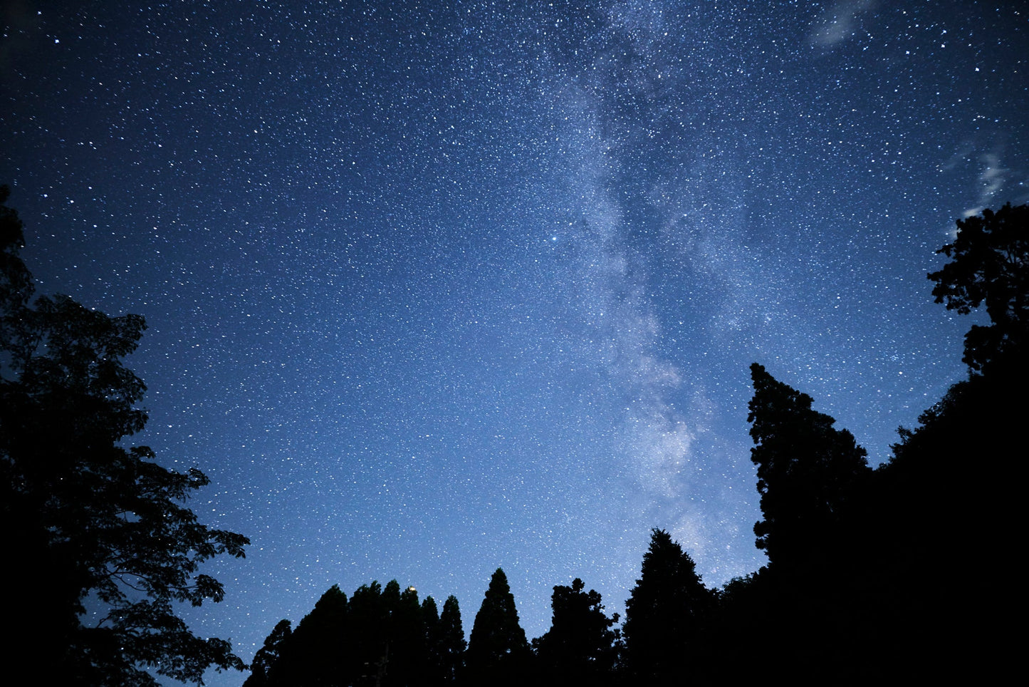 Night sky over Yame Hoshinomura — the Milky Way visible above the silhouetted mountain forest of the tea-growing village whose name (星の雫, 'Star Dewdrop') reflects this scene
