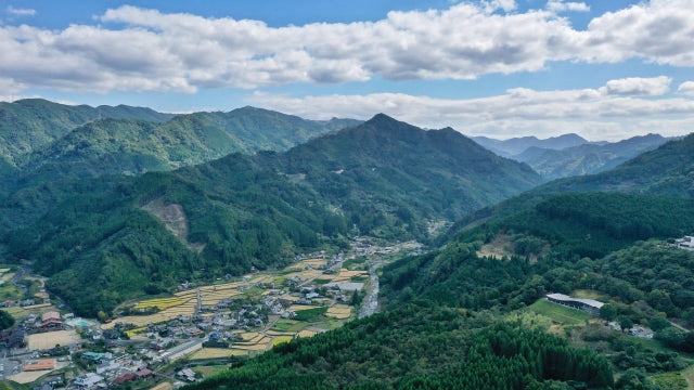 Aerial view of the Yame Hoshinomura tea-growing region — a small village in a mountain valley with rice paddies and forested slopes, in Fukuoka Prefecture