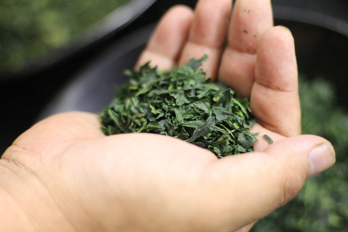 Wholesale Program for ShiZen Tea