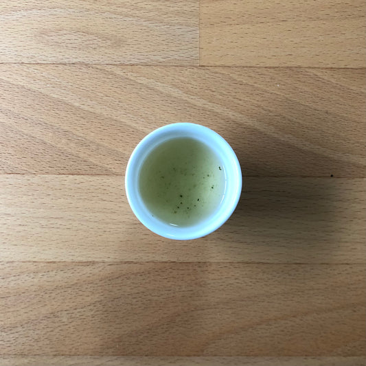 Super Premium Hand Picked KYOTO HON-GYOKURO from Japan 10g
