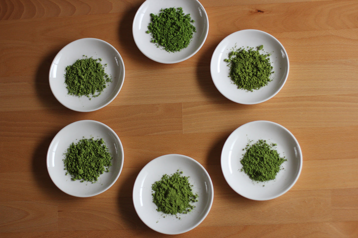 Wholesale Program for ShiZen Tea