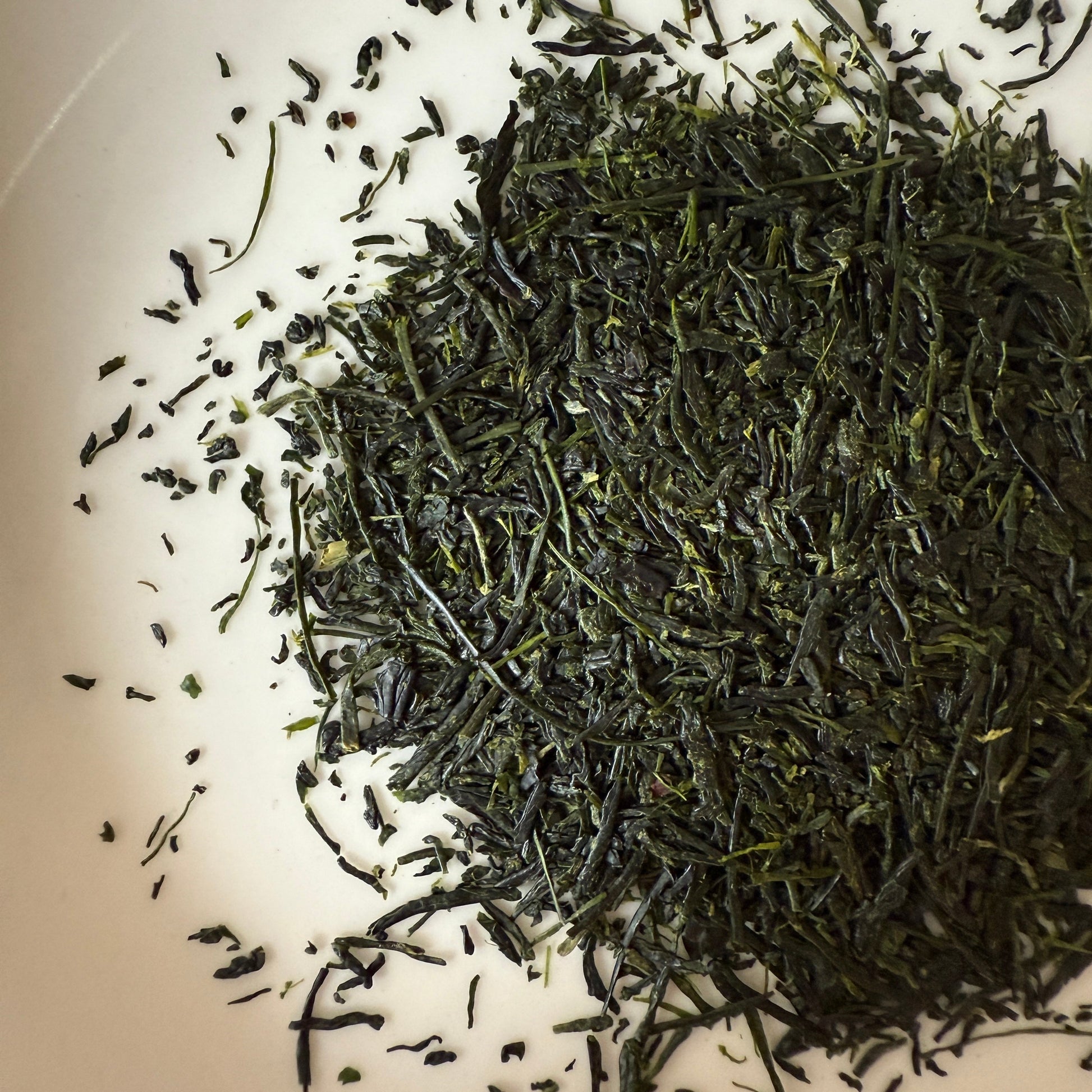 Close-up of dried Hoshino Shizuku 2026 sencha leaves arranged on a white plate