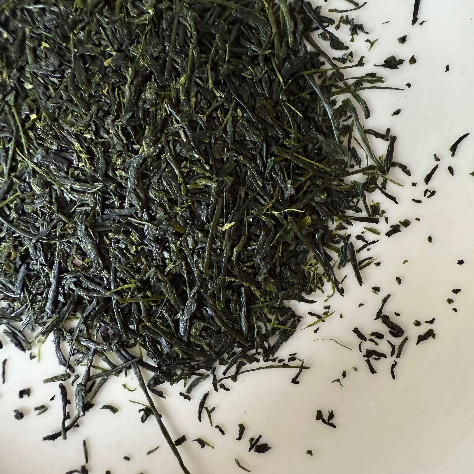 Close-up of dried Hoshino Shizuku 2026 sencha leaves on a white plate, off-centre composition