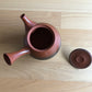 Handmade Tea Pot Kyusu - Tokoname Yaki - Koji Iwase - MF02