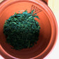 Premium Organic Gyokuro from Kagoshima Japan 30g
