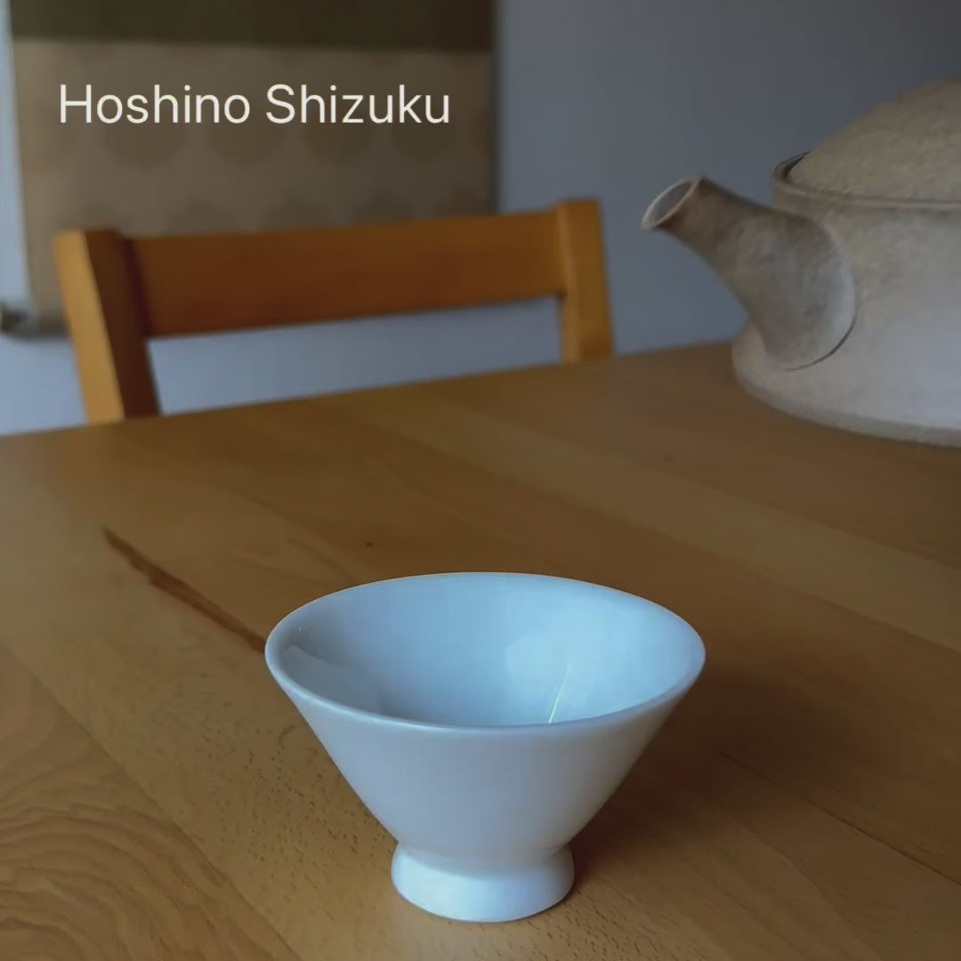 Hoshino Shizuku 2025 Final Batch — Premium Sencha from Yame