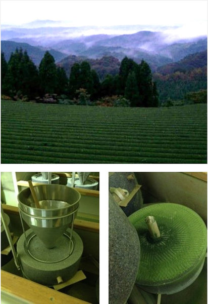 Organic Matcha Superior Green Tea Powder 1.1 oz (30g) - Ceremonial Grade