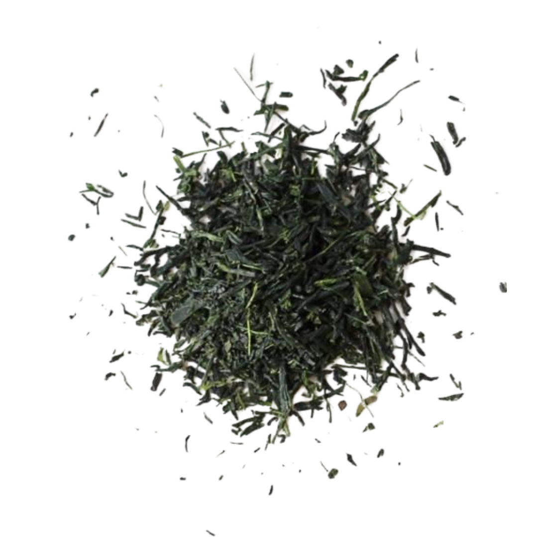 Premium Hand Picked KYOTO HON-GYOKURO from Japan 10g