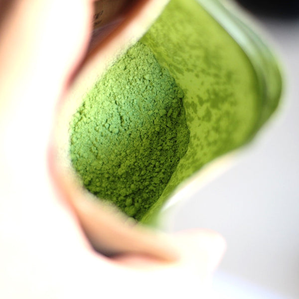 Raku Matcha 40g - daily drinking grade matcha green tea powder -